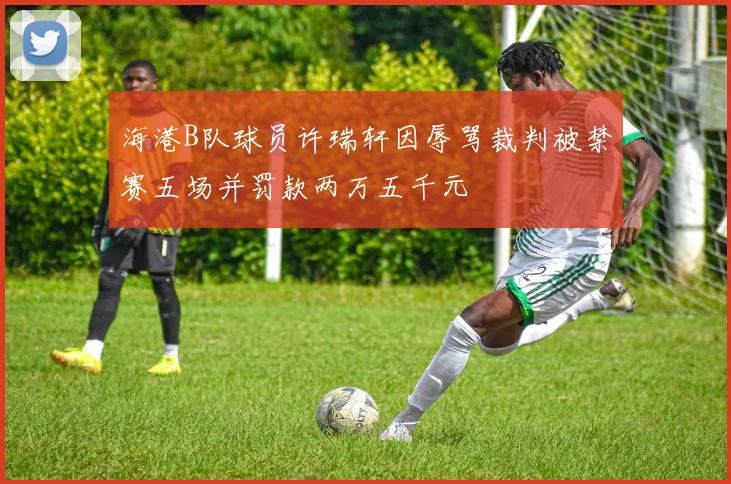 海港B队球员许瑞轩因辱骂裁判被禁赛五场并罚款两万五千元